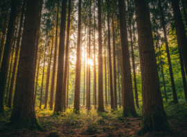 運は「起きること」ではなく「気づく力」で決まるのでは!